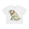 AS Colour / Wo's CROP TEE Thumbnail