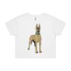 AS Colour / Wo's CROP TEE Thumbnail